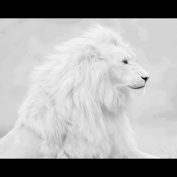 🌍five star seller - check my love notes - Picture 7 of 16